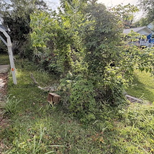 Lawn-Cleanup-in-Conway-SC 11